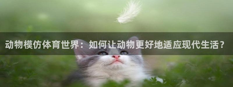 风速体育nba免费直播