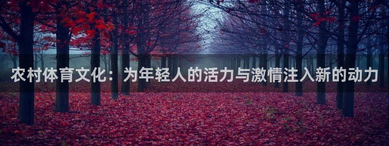风速体育app官方下载：农村体育文化：为年轻人的活力与激情注入新的动力