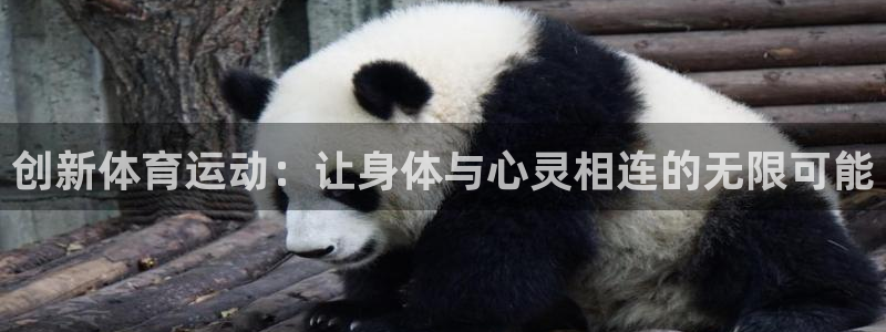 风速体育app下载安装最新版本：创新体育运动：让身体与心灵相连的无限可能