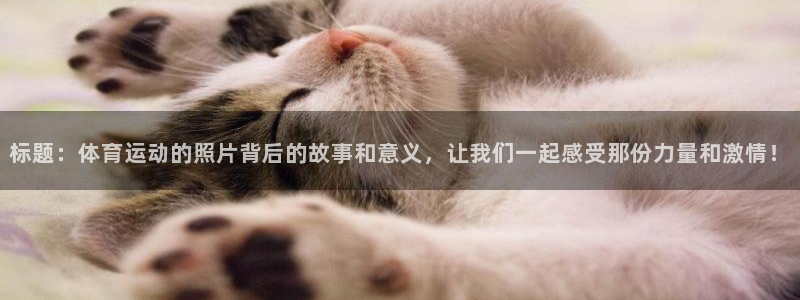 风速体育下载：标题：体育运动的照片背后的故事和意义，让我们一起感受那份力量和激情！
